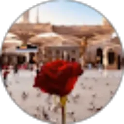 Review From Fika Andriani