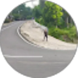 Review From boim chennel