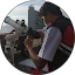 Review From Triyono Triyono