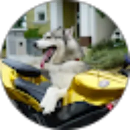 Review From Mr Black Manja