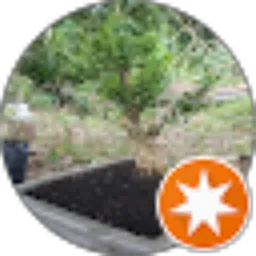 Review From ariz inyenk