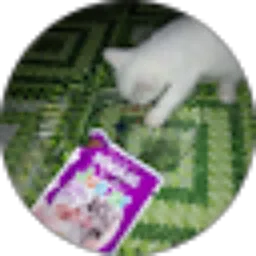 Review From Muhammad Yusuf