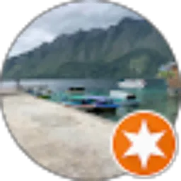 Review From Nyoman Suliana