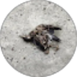 Review From Novia Amanda Mci