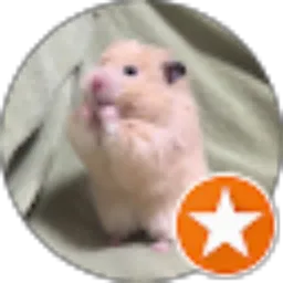 Review From Aisyah Rizki Putri