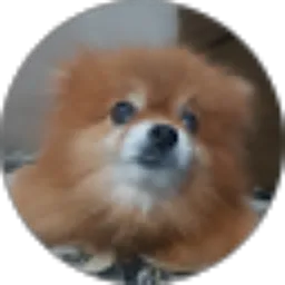 Review From Musis Dudik