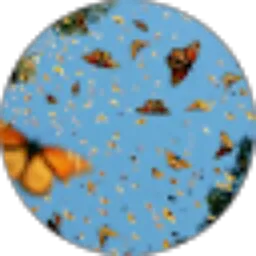 Review From Farah Indiasti