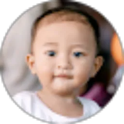 Review From novia carera