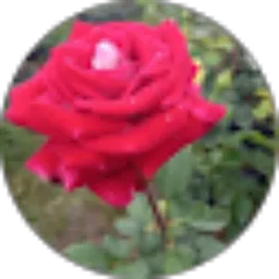 Review From moh toha