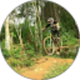 Review From Bambang Handrijanto