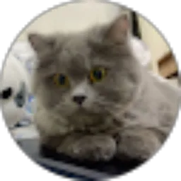 Review From Kartika Rahma