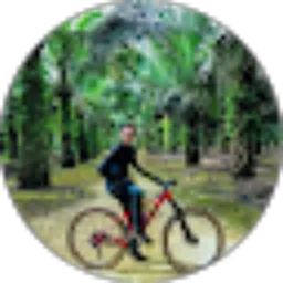 Review From Gista Rija Al Hakim