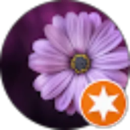 Review From elly vikriyah