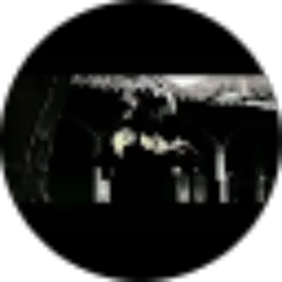 Review From Ali Abdilah