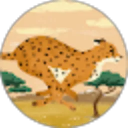 Review From Picolo Cat