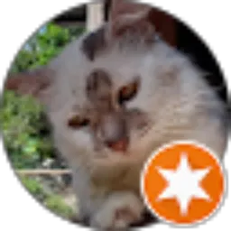 Review From Fransiska Natalia