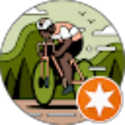 Review From P. L Wibi