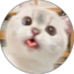 Review From Mellia Wahyuningrum