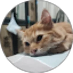 Review From Ramadhan Alaudin