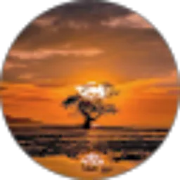 Review From Bima 123