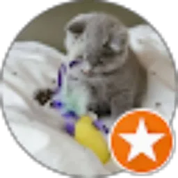 Review From Syarifah Ainun