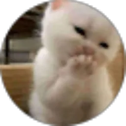 Review From Hikmah Fahbulan