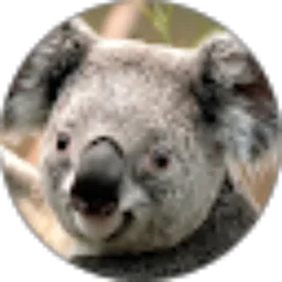 Review From Puji Damayanti