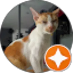 Review From Habib Rafi