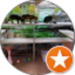 Review From Bayu prasetyo dodo