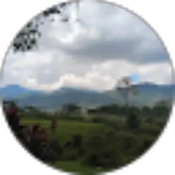 Review From Nurul aini Nuru