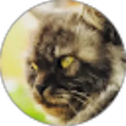 Review From Kuatno Kamplo