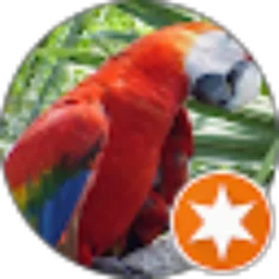 Review From Benedictus Tjung