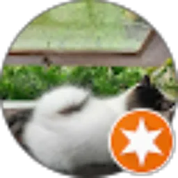 Review From Salman Alf