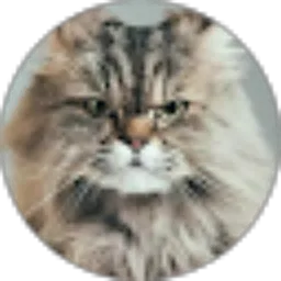 Review From Apriani Vivo