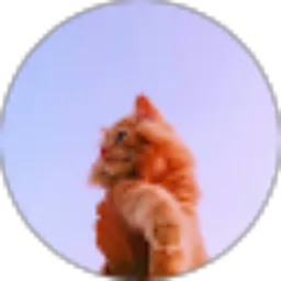 Review From Arkan Anaqie