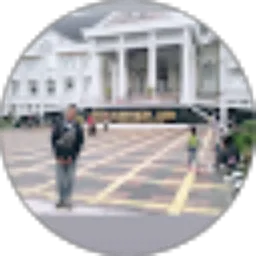 Review From Aurel Triadi