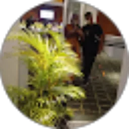 Review From Novrizal 06