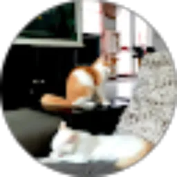 Review From Ravara channel