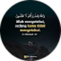 Review From Franky Usman