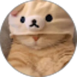 Review From Fitria Lubis