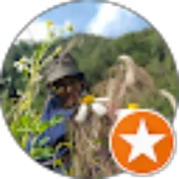 Review From Silvia Mahu