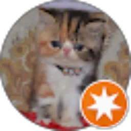 Review From Sonya Herlina