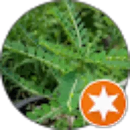 Review From Heriyanto