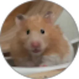 Review From Wardani Putri