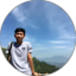 Review From Willy Balaka