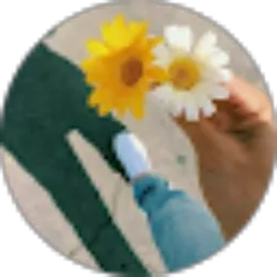 Review From Anisa Uli Maslahah