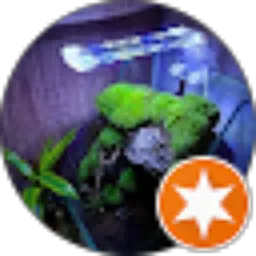 Review From I.G.A. Pramana Adiyaksa