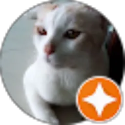 Review From Meo& mak'o