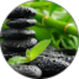 Review From adriana ,