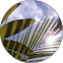 Review From Adev